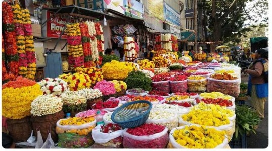 Flower business blooms in Sidhi; despite no local farming