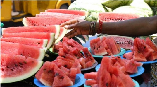 HC urges Tamil Nadu horticulture department to clarify watermelons safety