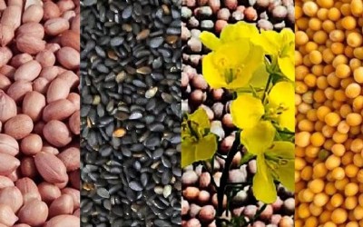 देसी तिलहनों के एक्सपोर्ट पर रोक लगाने की मांग