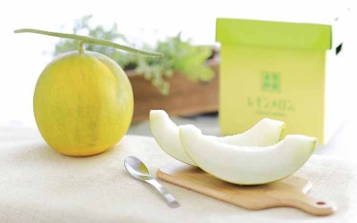 Japanese Farmers Have Created a Fresh New Fruit Called the ‘Lemon Melon’ Nursery Today Desk