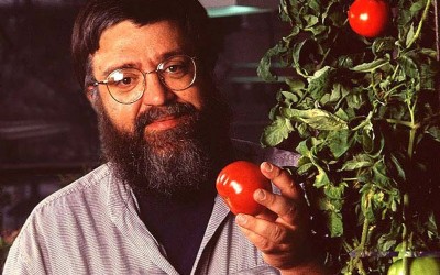 FLAVR SAVR TOMATO : ऐसा टमाटर, जो 45 दिनों तक खराब नहीं होता