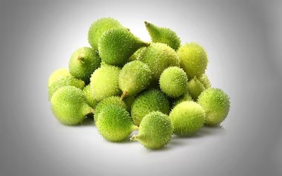Kantola has 50 times more protein than meat