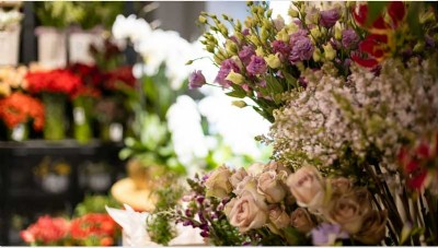 Flower delivery blooms in 2025; pulls investors interest  