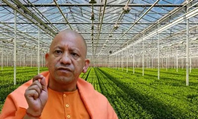 आलमचंद्रपुर में हाईटेक नर्सरी बनाने की प्रक्रिया जारी, किसानों को मिलेगा लाभ