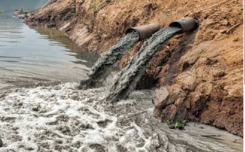 NGT seeks complete Ganga pollution report from UP authorities by May 29