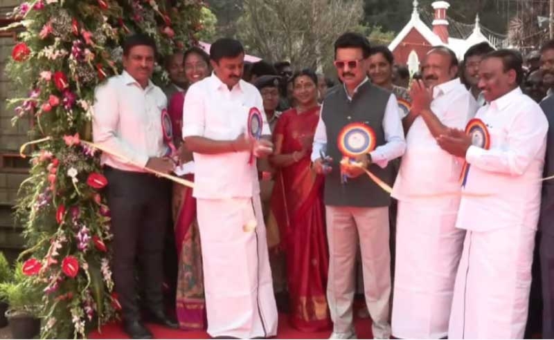 stalin new stalin new