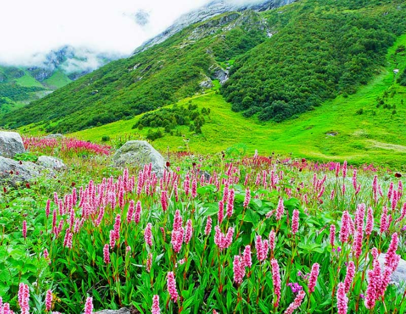 ghaati new ghaati new