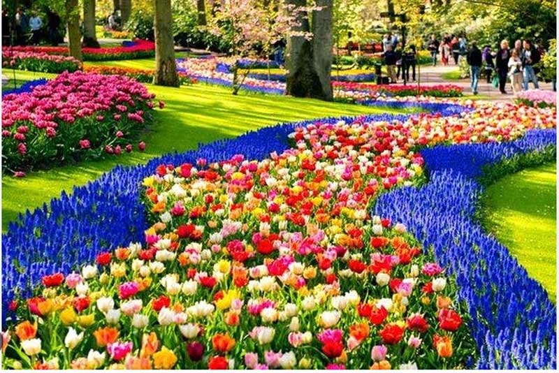 netherlands new netherlands new