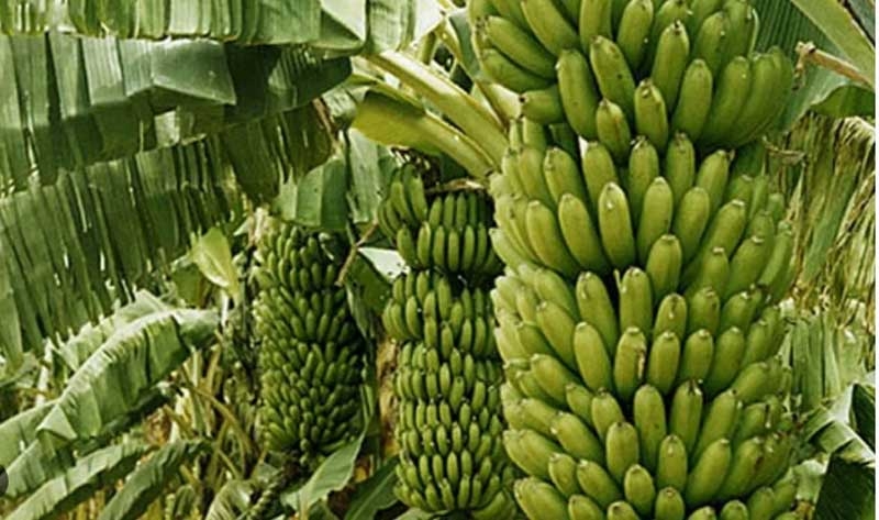 kannauj new kannauj new