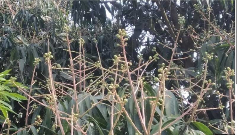 meerut new meerut new