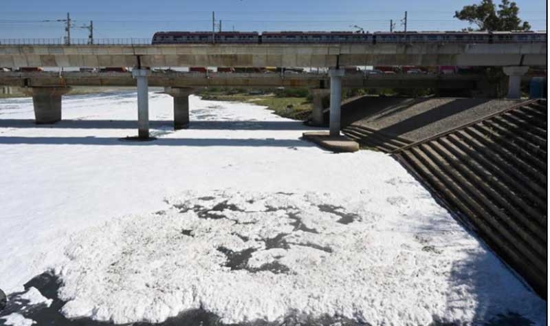 yamuna new yamuna new