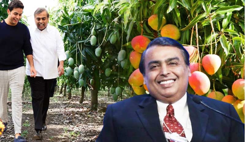 Ambani new Ambani new