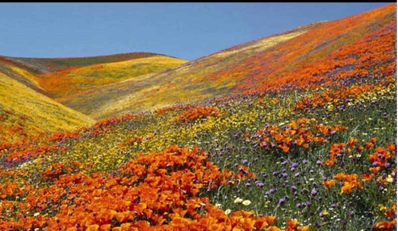 ghaati new ghaati new