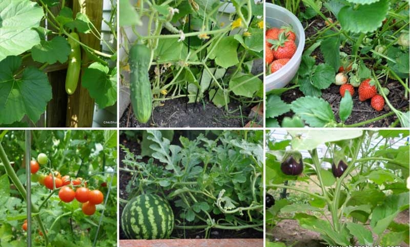 balcony new balcony new