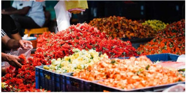 India’s top 5 flower markets: A colorful pleasure for nature lovers