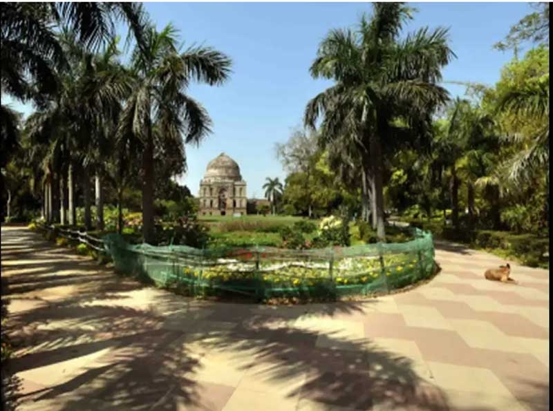 garden new garden new