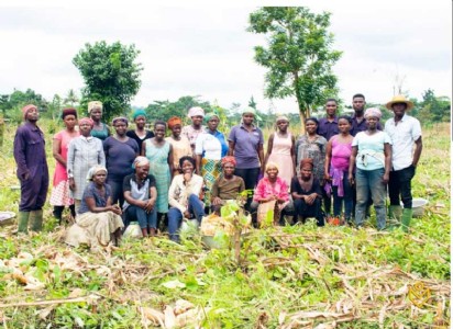 Ghana experiences prosperity through horticulture boost