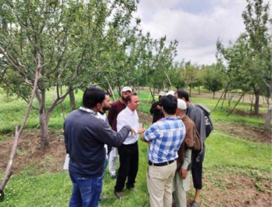Horticulture officials visit Budgam to assess orchard damage
