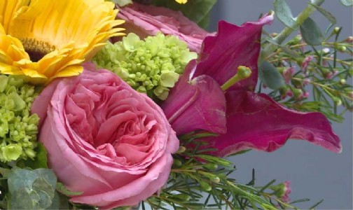 Mother’s Day: Flower prices to remain high amid tariff laws