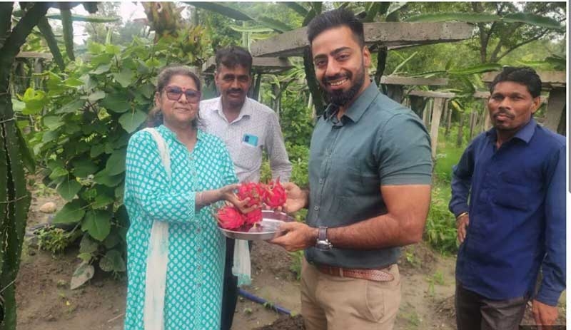 dragon new dragon new