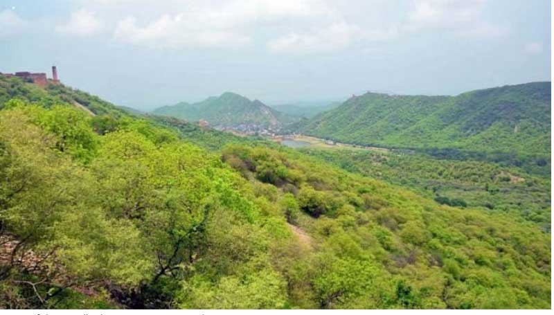 aravalli new 