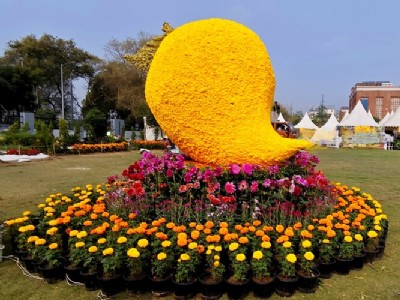 जानें नोयडा फ्लावर फेस्टिवल के डेट, टिकट और सब कुछ