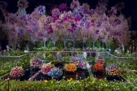 ग्रेटर नोएडा में आगामी पुष्प प्रदर्शनी थीम पुष्प कैलेंडुला होगा