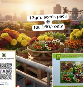 उगाएं ये खास फूल, नेशनल सीड्स कॉरपोरेशन से ऑनलाइन मंगाएं बीज