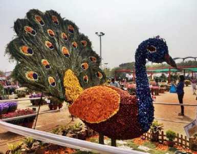कल से नोयडा में सजेगा फूलों का अनोखा संसार