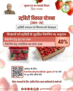 जानें इस राज्य की स्ट्रॉबेरी विकास योजना क्या है
