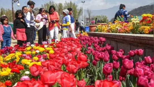स्टील प्लांट बोकारो में दो दिवसीय पुष्प प्रदर्शनी का समापन