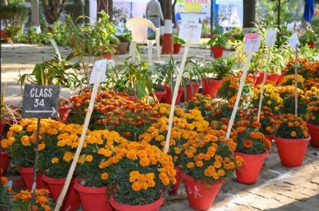 आईआईटी कानपुर में सजा फूलों का अनोखा संसार