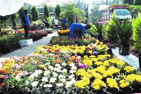 कोटा महोत्सव में भव्य पुष्प प्रदर्शनी का आयोजन उमड़ा जनसैलाब!