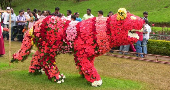 लोकभवन देहरादून में वसंतोत्सव सह पुष्प प्रदर्शनी का आयोजन 27 फरवरी से