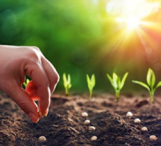 केंद्र सरकार बजट सत्र के दूसरे चरण में पेश कर सकती है सीड बिल 2025