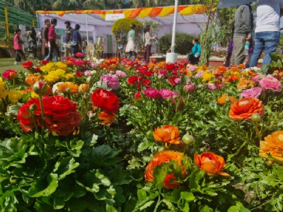 27 फरवरी से 1 मार्च तक उत्तराखंड राजभवन में पुष्प प्रदर्शनी