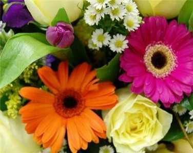 पानीपत के आर्य पीजी कॉलेज में पुष्पोत्सव-2026’ का शुभारंभ