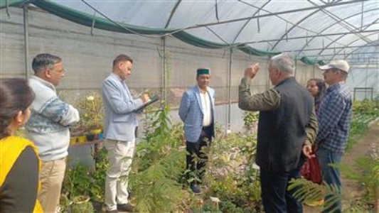 बागवानी मंत्री जगत सिंह ने कृषि विज्ञान केंद्र में स्थापित नर्सरी का निरीक्षण किया