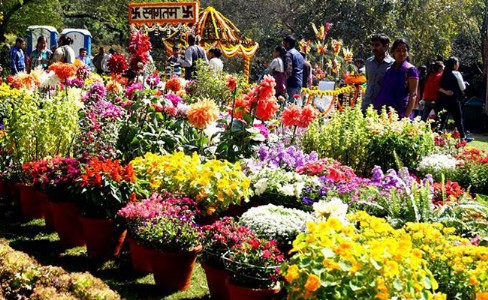 बरेली में तीन दिवसीय पुष्प प्रदर्शनी 13 मार्च से