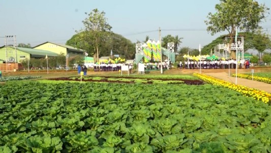 बिहार के पूसा में लग रहा है बड़ा कृषि मेला, जुटेंगे कृषि और बागवानी विशेषज्ञ