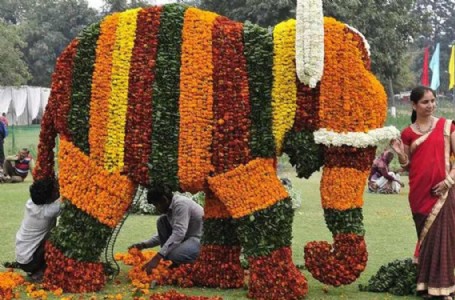 फरीदाबाद में सजी फूलों की अनोखी प्रदर्शनी