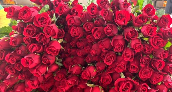 यह किसान फूलों की खेती कर करता है सजावट का काम