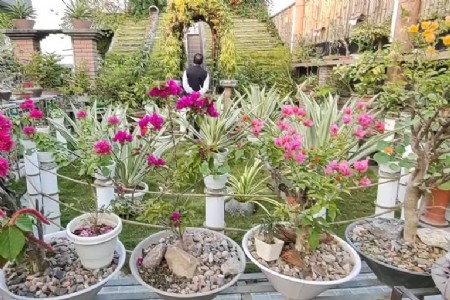 औरैया के भाग्यनगर में होली पर इंद्रधनुष पार्क में पुष्प प्रदर्शनी आयोजित