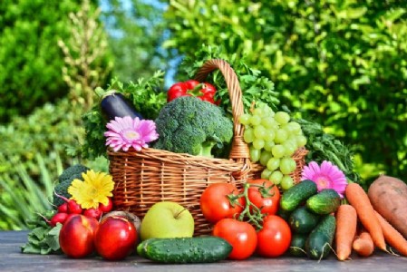 दो दिवसीय राष्ट्रीय संगोष्ठी में जैविक खेती पर की चर्चा, किसानों को वैज्ञानिक खेती अपनाने की दिया जोर