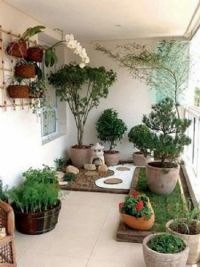 बचपन से बागवानी का था शौक, डॉ. प्रेरणा ने छत को बना दिया मिनी गार्डन