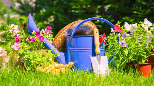 फूलों की खेती से बदली इस किसान की जिंदगी, लाखों में हो रही कमाई