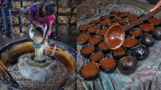 जंगली खजूर की बागवानी लगाकर महिलाएं तैयार कर रही है गुड़