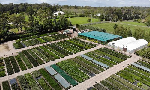 मौसम के कारण कश्मीर के नर्सरी इंडस्ट्री पर खतरा