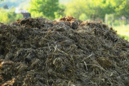 Cow Dung Business : अब गोबर नहीं है बेकार, इससे तैयार हो रहे हाई-डिमांड प्रोडक्ट्स
