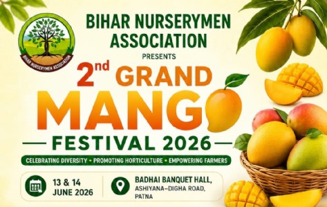 2nd Grand Mango Festival 2026 : पटना में 13-14 जून को होगा '2nd Grand Mango Festival 2026', किसानों और उद्यमियों के लिए बनेगा बड़ा मंच
